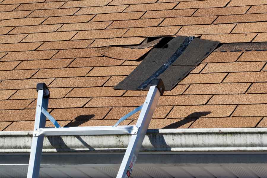 Key Signs of Heat and Humidity Roof Damage