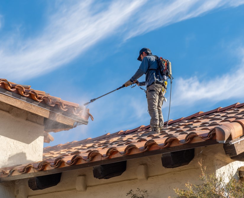 roof algae treatment
